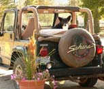 Jeep_Tours